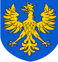 REPREZENTACJA WOJEWÓDZTWA OPOLSKIEGO Krzysztof Zyga Rafał Wiktor Tobiasz Klama Rafał Bernat Mateusz Brzoza Mateusz Prubant Mateusz