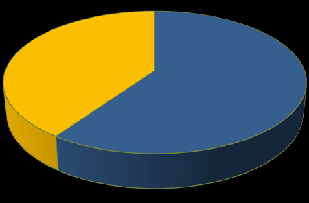 Informacje o firmie 44% Historia firmy 56% Zakładka prezentująca informacje o firmie znalazła się na stronie WWW każdego z 62 badanych przedsiębiorstw.