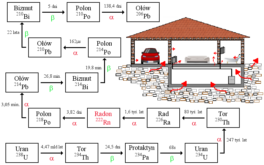 Rysunek. Szereg promieniotwórczy uranowo-radowy. stoi budynek, jego konstrukcji i szczelności, użytych materiałów budowlanych oraz od intensywności, z jaką pomieszczenia są wentylowane.