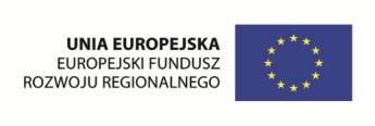 : Stworzenie w ramach Wielkopolskiego Instytutu Jakości Inkubatora Przedsiębiorczości wspierającego powstawanie innowacyjnych firm i realizowany w ramach działania 3.