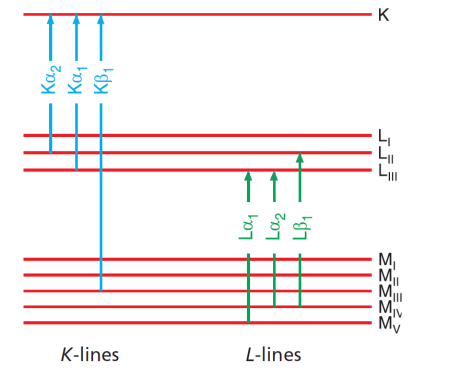 Rys. 1. Główne linie spektralne w serii K i L charakterystycznego promieniowania rentgenowskiego oraz odpowiednie przejścia elektronów W analizie najczęściej korzysta się z linii serii K lub L (rys.