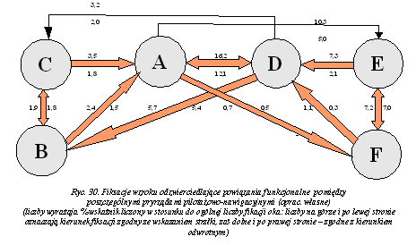 Przykład badań stosowanych w