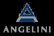 Profil firmy Angelini, będąca prywatną grupą międzynarodową, jest liderem na rynku ochrony zdrowia i higieny osobistej w sektorze farmaceutycznym i sektorze rynku masowego.