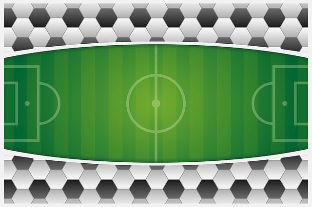 Poradnik dla podróżujących na Mistrzostwa Europy w Piłce Nożnej EURO 2016 Poradnik ECK Polska ECK POLSKA KIBIC KONSUMENT NA