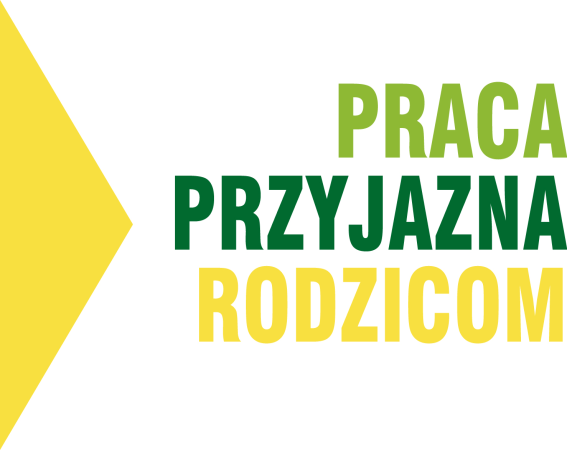 Doświadczenie organizacji składającej projekt Rezultaty projektu Praca Przyjazna