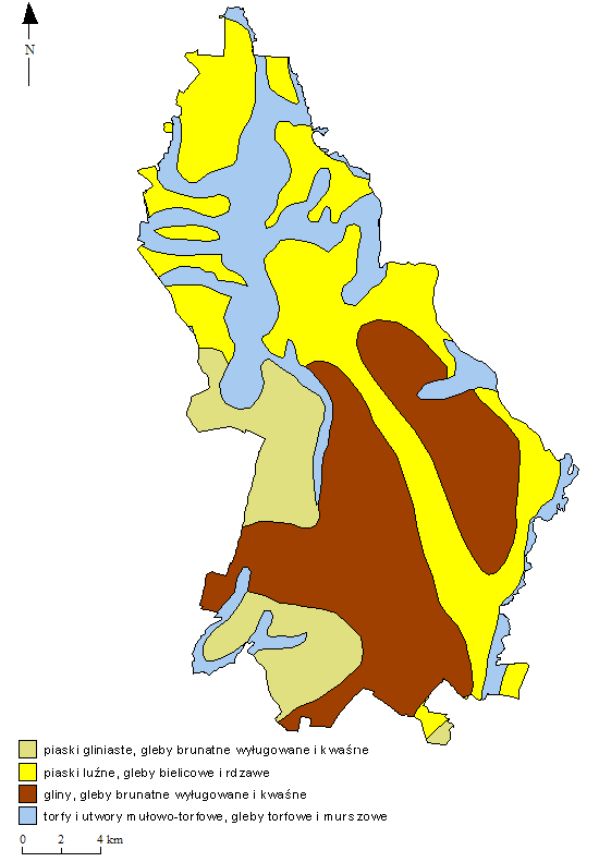 Rycina 3.