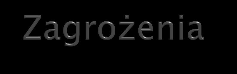 1. Przebieg Paneuropejskiego Korytarza Transportowego (Via Baltica) 2. Brak współpracy z samorządem województwa 3. Ograniczenia dla rozwoju gospodarki wynikające z uwarunkowań przyrodniczych 4.