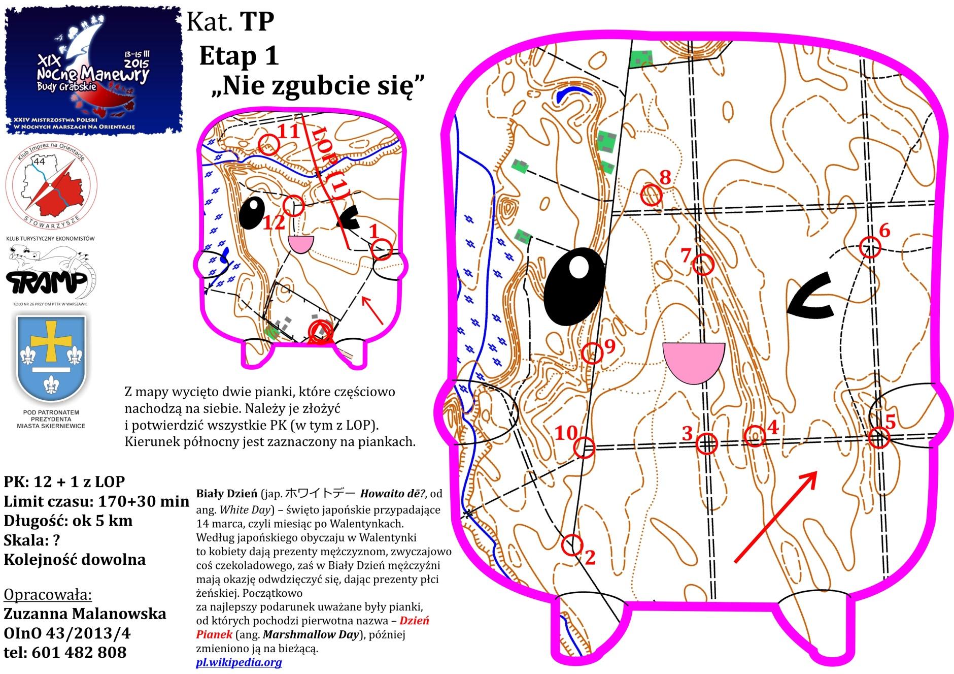 Przykładowa mapa 20.