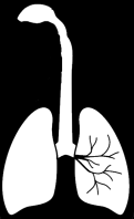 Perspektywa pacjenta (2/2) Odpłatność za steroid Przykład pacjenta atopowego Astma Atopowe zapalenie skóry Alergiczny nieżyt nosa Odpłatność za beta mimetyk STARY KOSZYK STEROID 3 PLN BETA MIMETYK 6