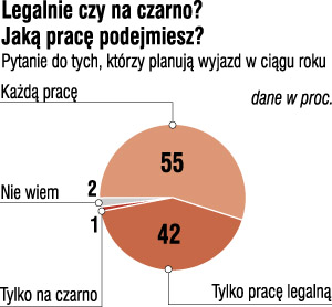 9. Raport AIG i "Gazety" 2003: "Młodzi w pracy 1. Jakie motywy kierują Polakami wyjeżdżającymi za granicę? 2. Praca legalna czy na czarno? 3.