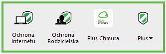OBSŁUGA OCHRONY INTERNETU Co to jest panel główny?