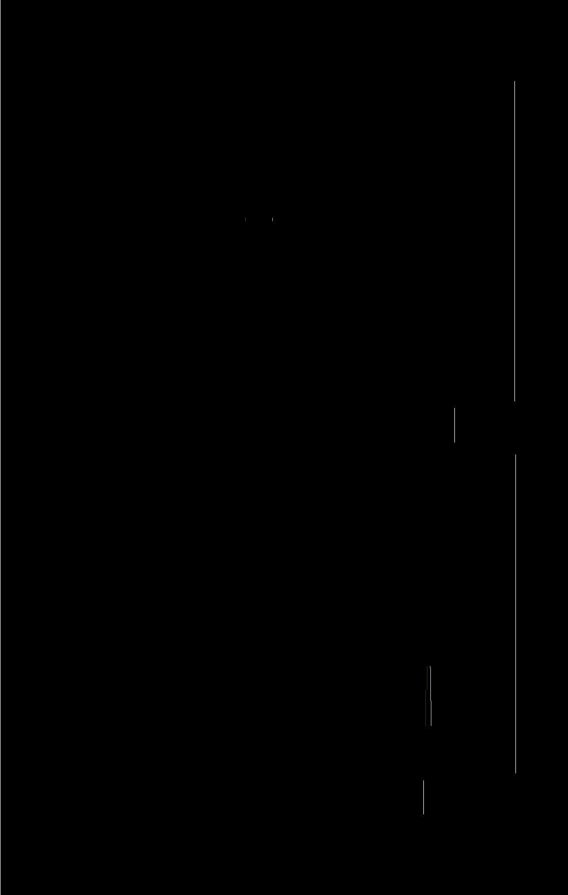 Ryc. 2. A. Bieniek, R. Grygiel i J. Lech w drodze na stanowisko w Słonowicach. Fig. 2. A. Bieniek, R. Grygiel and J.
