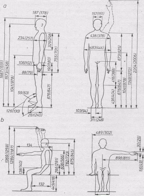 Problemy ergonomiczne Dane wymiarowe zaczerpnięto z atlasu antropometrycznego dorosłej ludności polskiej, opracowanego przez Pracownię Antropometrii Zakładu Antropologii PAN we Wrocławiu i Instytut