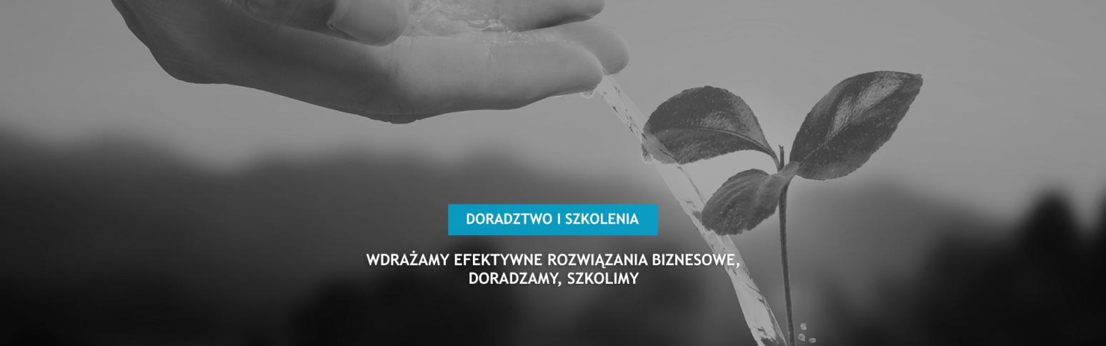 SZKOLENIE ROZWIĄZANIA W ZAKRESIE ROZWOJU KAPITAŁU LUDZKIEGO