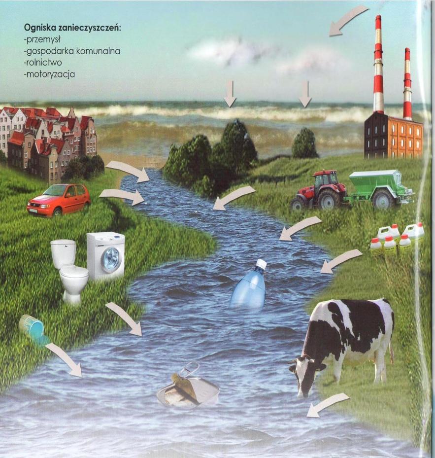 2. Stworzenie podstaw systemu trwałych powiązań Morza Bałtyckiego z jego obszarami przybrzeżnymi i zlewnią Naturalne i antropogeniczne zmiany w zlewni; wpływ działalności rolniczej, lasów