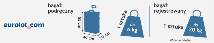 Air One Przez stronę internetową lub telefonicznie raport Na lotnisku Opłata za bagaż o wadze do 20 kg 11-19 euro 25-35 euro Opłata za drugi bagaż w taryfie GO i SMART (2 sztuki bagażu nie mogę