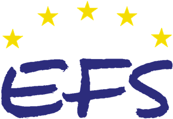 Edycja 2004-2005 Europejski Fundusz Społeczny (EFS) Działanie 1.3 Przeciwdziałanie i zwalczanie długotrwałego bezrobocia Sektorowy Program Operacyjny Rozwój Zasobów Ludzkich Priorytet 1.