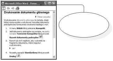 Korzystanie z pomocy str. 34 Po kliknięciu na wybrany temat pomocy ukazane zostanie okno informacyjne Rysunek 3.2.13.