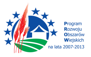 ramach działania Odnowa i rozwój wsi Program Rozwoju Obszarów Wiejskich na lata 2007-2013. BUDOWA PLACU ZABAW W MIEJSCOWOSCI Przybroda W GMINIE ROKIETNICA SST - 02.