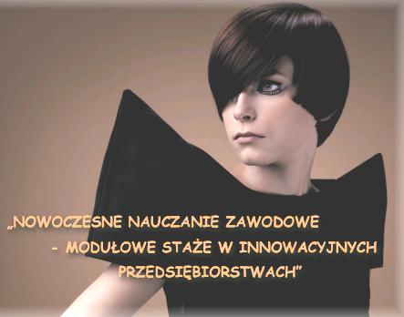 Projekt pt Nowoczesne nauczanie zawodowe modułowe staże w innowacyjnych