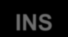 INS (International Numbering System - INS) międzynarodowy system oznaczeń, przyjęty do oznaczania substancji dodatkowych.