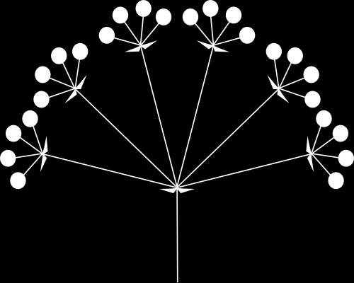Typy kwiatostanów Źródło: Wikipedia kłos grono