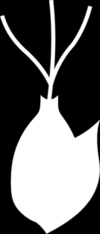 Źródło: Wikipedia!