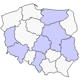 Obecnie (stan na 30 marca 2007 r.) jedynym właścicielem Spółki jest KGHM Polska Miedź S.A. druga spółka na świecie w zakresie produkcji srebra i siódma co do wielkości produkująca miedź.