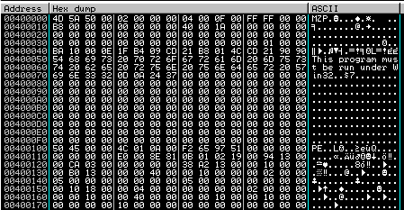 Erase DOS/PE Header Wszystkie pliki wykonywalne posiadają specjalne nagłówki, które zawierają podstawowe informacje potrzebne do uruchomienia pliku.