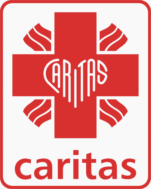 CARITAS DIECEZJI KIELECKIEJ SPRAWOZDANIE