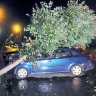 34-latek rzuci³ siê z piêœciami na swojego brata, po czym ukrad³ mu oszczêdnoœci w kwocie 2 tys. z³ i uciek³. Policjanci szybko jednak ustalili, gdzie przebywa rozbójnik.
