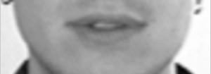 Obszar oczu Obszar nosa Obszar ust Rys.2 Wynik wydzielania obszarów twarzy Fig.2 The result of face area extract 2.