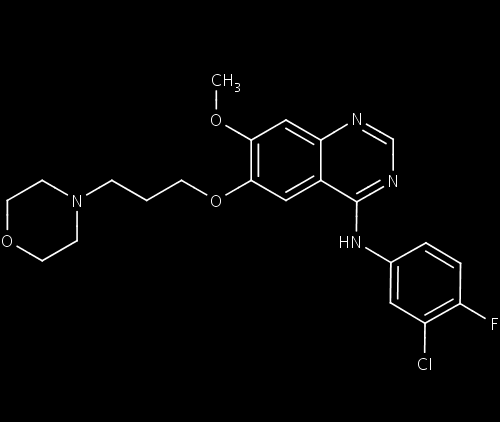 Erlotynib Inhibitor odwracalny Sygnał HER-1