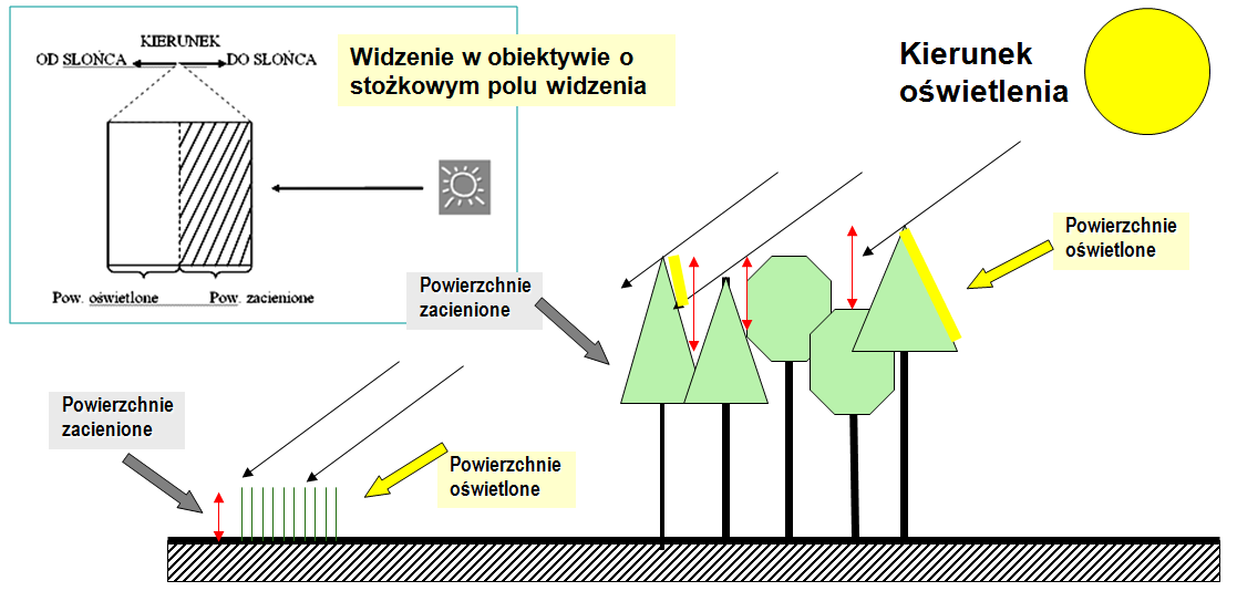 Zjawisko dwukierunkowego odbicia spektralnego Jasność rejestrowanego obiektu zależy od kierunku oświetlenia i obserwacji.