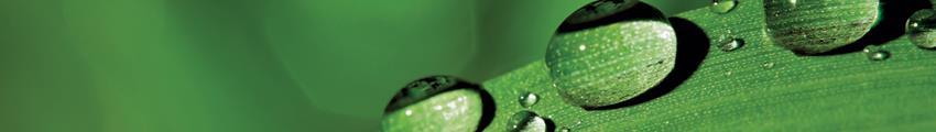 CASE STUDY IPR-INSIGHTS Silne zaplecze skutecznego zarządzania oprogramowaniem Po raz pierwszy mamy dostęp do tak aktualnej wiedzy na temat wykorzystania w naszej firmie licencji Microsoft.