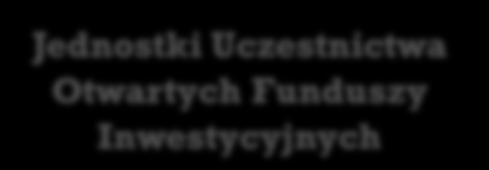 RODZAJE INSTRUMENTÓW FINANSOWYCH RYNEK KASOWY INSTRUMENTY FINANSOWE NOTOWANE NA GPW RYNEK TERMINOWY Jednostki Uczestnictwa Otwartych Funduszy Inwestycyjnych Akcje Prawa do akcji Prawa poboru