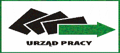 SPRAWOZDANIE Z DZIAŁALNOŚCI MIEJSKIEGO URZĘDU PRACY W PŁOCKU ZA 2013 ROK Opracowanie: Miejski Urząd Pracy w