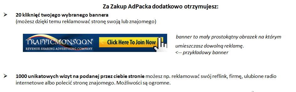 Dzięki zakupieniu pakietu, firma dzieli się z nami swoimi zyskami za to, że zapewniamy ruch na portalu oferując nam zwrot w wysokości aż 110%