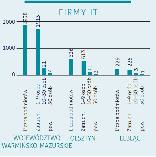 Podmioty IT na Warmii i Mazurach