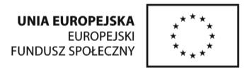 Opracowanie atrakcyjnego wizualnie projektu graficznego szablonu elektronicznego IPN (wymaga się zaprezentowania 3 projektów, spośród których Zamawiający wybierze jeden brak akceptacji