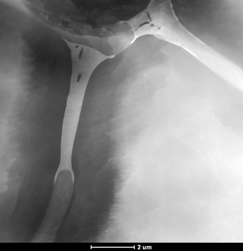 Wyniki: TEM, przykłady Mg 4 Zn 7 1 µm 2110 0112 1010 0111 2311 1010 0110 2020 Ca 2 Mg 6 Zn 3 [0112] Mg 2 Ca [2423]