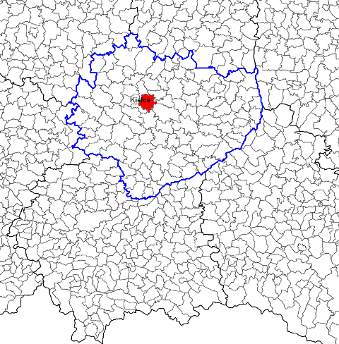 kierunki innych działań, których realizacja pozwoli na osiągnięcie wyznaczonego celu w największym możliwym stopniu.