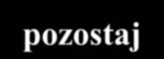 Instrukcja obsługi Dobrzyoska 2006 1. ocena obecnego stanu infrastruktury informatycznej i sprzętu komputerowego, 2. ocena eksploatowanych obecnie systemów informatycznych, 3.