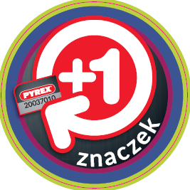 Załącznik nr 4.