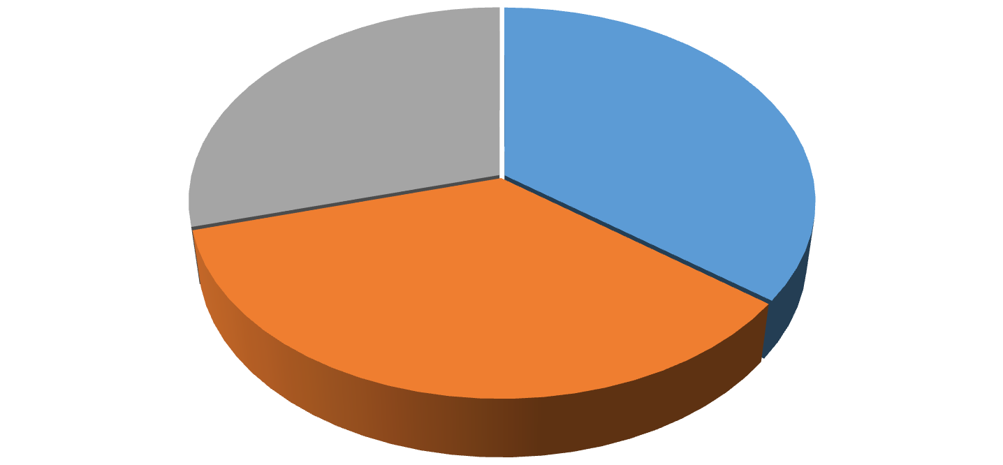 Wykres 5 Liczba pasażerów przewiezionych poszczególnymi liniami w 21 roku 441 989 pasażerów 128 648 29% 155 828 6% 155 5 5% R Rk Rm źródło: opracowanie własne 2.