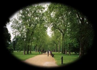 Hyde Park został założony w 1536 roku przez Henryka VIII, który pozyskał owe grunty od mnichów z Opactwa