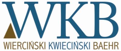 Hipoteza badawcza 1) możliwe jest skonstruowanie optymalnego programu leniency, który realizuje pierwszorzędny, długoterminowy i ostateczny cel programu leniency tzn.