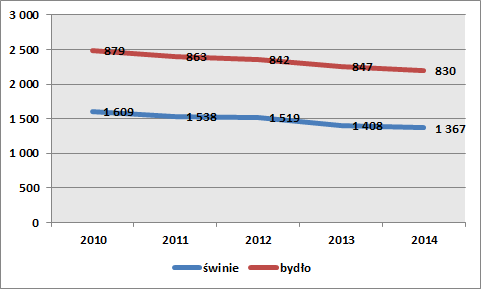 Wykres 10. Liczba sztuk hodowanego bydła i trzody chlewnej na terenie Powiatu Chełmińskiego w latach 2010-2014 Źródło: Opracowanie własne Wykres 11.