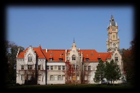 Głównym założeniem przedsięwzięcia jest spotkanie uczniów uczonych Metodą Języka Ojczystego z muzykami grającymi na instrumentach historycznych w celu przybliżenia stylistyki gry muzyki dawnej oraz