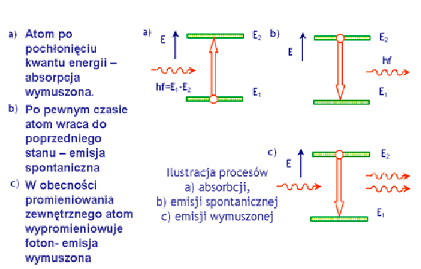 Pierwsze zagadnienie stanowią mechanizmy oddziaływania fotonów z atomami ośrodka. Rozważmy więc ośrodek w którym atomy mogą przyjmować tylko dwie, dyskretne wartości energii.
